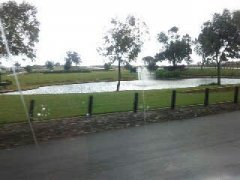 Settlers hills , Clyde Avenue .. water parks both sides of the rd .. complete with ducks !