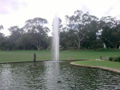 Kings Park