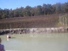 Perth hills .. the orchards in winter .  water hole ..