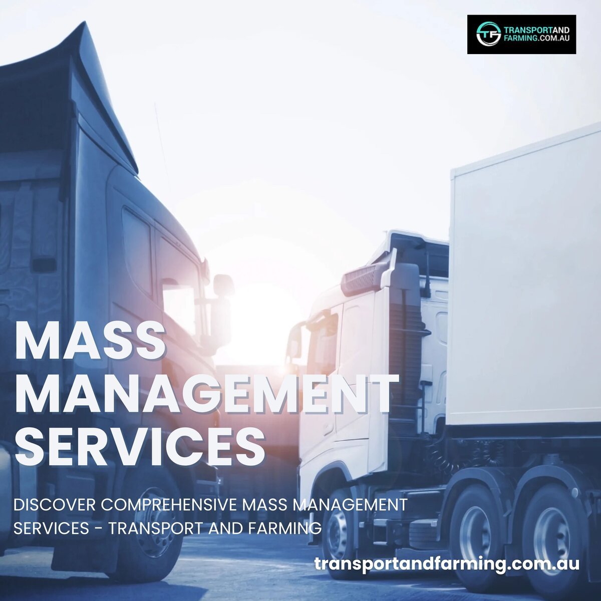 Discover Comprehensive Mass Management Services - Transport and Farming