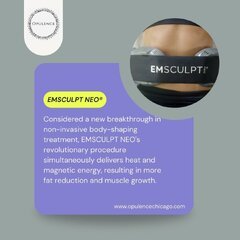 EmSculpt Neo West Loop.jpg