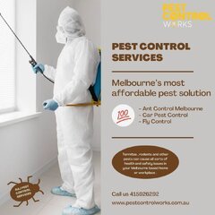 Pest Control Services in Kensington.jpg