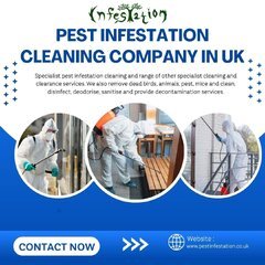 Pest Infestation Clean Up in UK.jpg