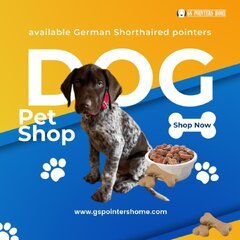 German Shorthaired Pointer Puppies for Sale in Michigan.jpg